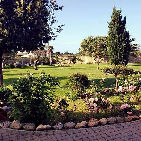 Elegance B&B Ladispoli Exterior photo